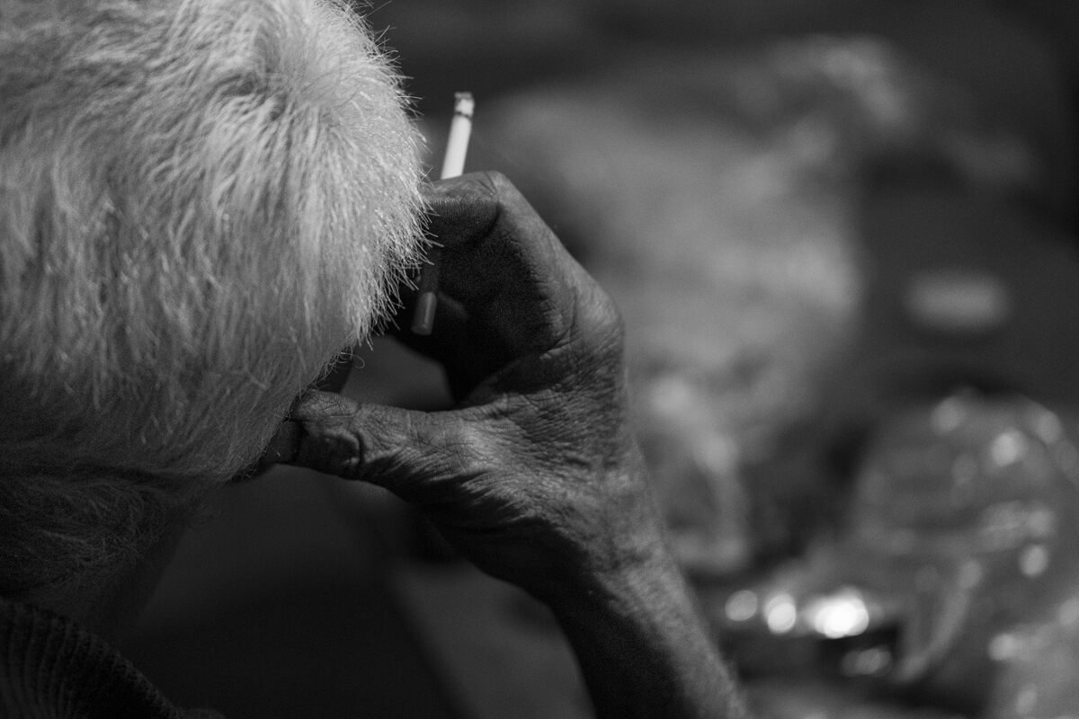 The inhabitant of Ararat